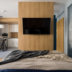 Big tv on wooden wall in studio apartment