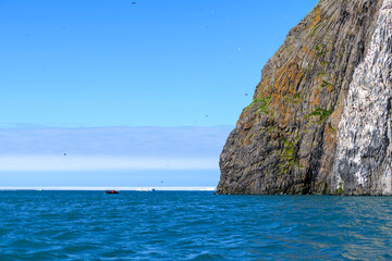 Arctic landscape in summer time. Franz Jozef Land archipelago. Flora cape, Gukera island. Rubini Rock.