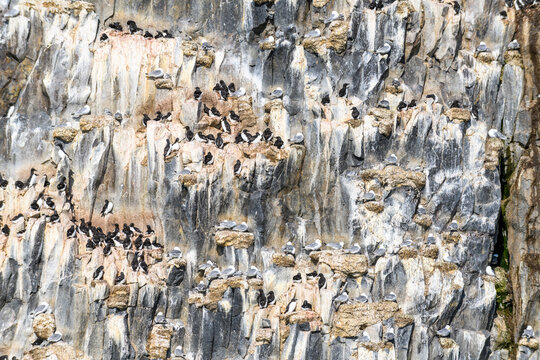 รูปภาพJozef – เลือกดูภาพถ่ายสต็อก เวกเตอร์ และวิดีโอ1,419 | Adobe Stock