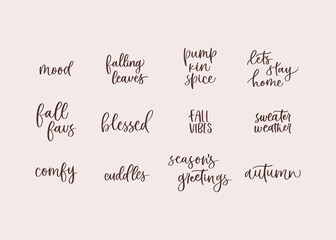 Collection of fall lettering pieces. Hand drawn autumnal quotes.