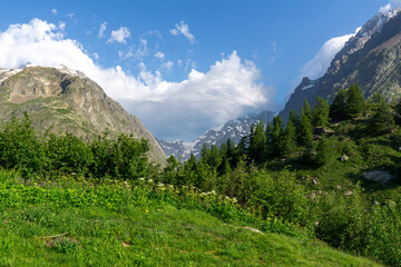 Panoramic view of relaxing mountain scenery with mountains in the background and meadow, grass, on a nice, sunny day.