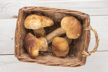Several forest porcini mushrooms in a basket on a wooden table, close-up, top view.