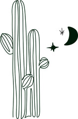 Moon, desert, cactus. Folk art concept. Boho culture. Harmony and zen. Crescent moon magic symbols. Vector illustration.