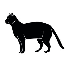Vector hand drawn doodle sketch black cat isolated on white background