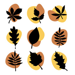 Vector set bundle of hand drawn autumn leaves silhouette and abstract dots isolated on white background