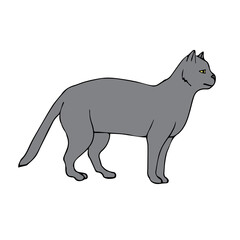 Vector hand drawn doodle sketch gray colored cat isolated on white background