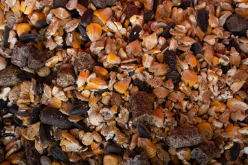background of basical nutrition muesli  for  horses. feeding and horse care concept. close up. top view