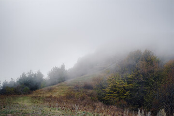 Majestic morning mountain landscape with colorful forest and cloudy sky.