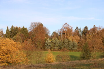 Landschaft mit bunten Bäumen im Herbst