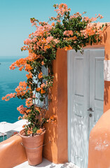 Vertical shot of a building entrance with flowers in Santorini, Greece