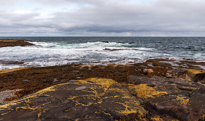 Fototapeta na wymiar shore of the northern ocean is made of stones covered with colorful moss. Teriberka, Barents Sea, Murmansk region, Kola Peninsula