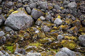 Stone nature background. Stones, boulders covered with moss and fungus in the mountains of Khibiny. Top view