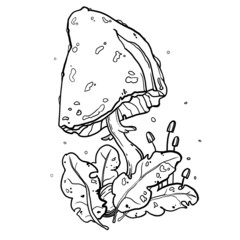 children's coloring. coloring book. tattoo. linear art. mushrooms with leaves. magic mushrooms.