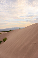 Fototapeta na wymiar sunrise in Desert sand dunes