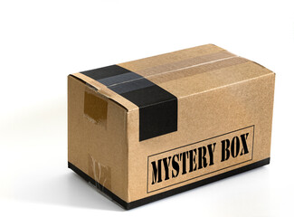 Cardboard box for online ordering with the word Mystery Box stamped on one of its sides