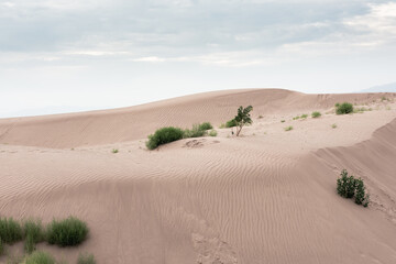 Fototapeta na wymiar Desert dunes landscape at Mexico