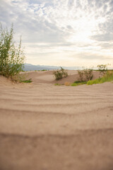 Sunrise over sand dunes