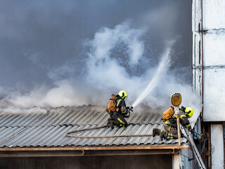 Firefighters extinguish flame with hose. Firefighters brigade is engaged in extinguishing flame....