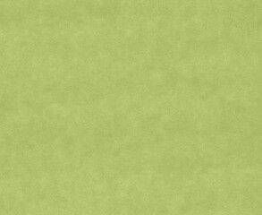 Obraz na płótnie Canvas green paper texture