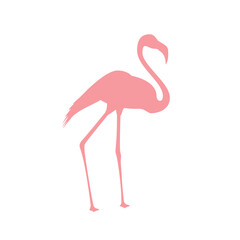 Flamingo Icon, Flamingo Vector, Pink Flamingo, Tropical Bird, Wildlife Animal Silhouette Isolated Vector Illustration Background