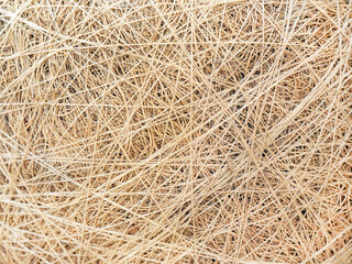 The background is beige yellow. Thread strips