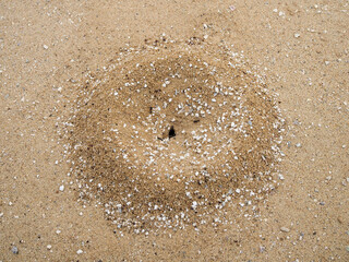 Ant's Hill with spherical cone consists of soil and sand digging from the ground