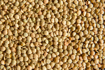 Lentil Texture Background.
