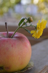 apple and flower