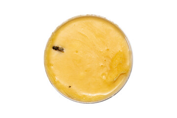 Natural bee honey on a white background.Honey flower background.