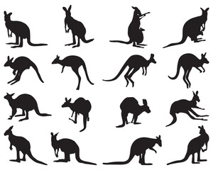 Black silhouettes of kangaroo on a white background