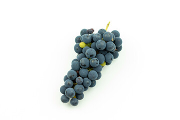 bunch of blue grapes on a white background. Harvest of wine berries on the table. Top view