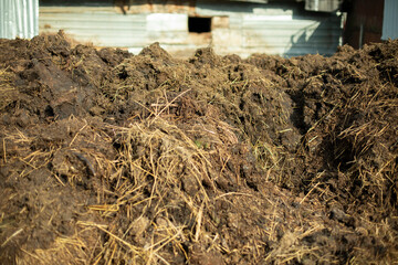 Manure on the farm. Fertilizers for the garden.