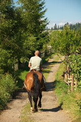 Man rides a chestnut horse on a country road.