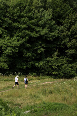 people walking in the forest