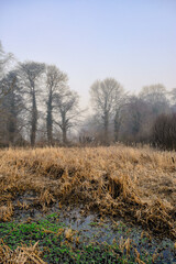 Foggy Dull Day at Irish Canal