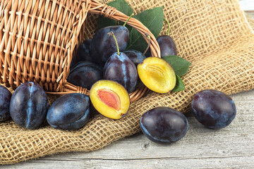 Ripe garden plums and leaves in basket on wooden table. Harvesting season. Fresh plums.
