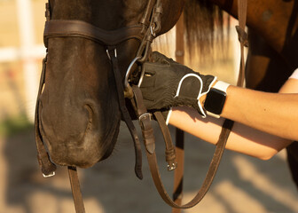 Young woman preparing to become a riding instructor taking care and talking to a horse.