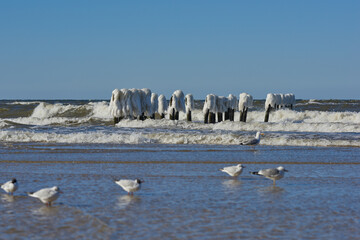 Morski krajobraz zimowy. Czapy śnieżne na słupach i kamieniach, falochronu. Jasny, słoneczny dzień. © Tomasz