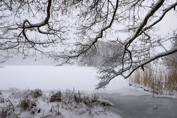 Zima nad jeziorem. Biały śnieg przykrył taflę lodu, gdzieniegdzie widać tropy dzikich, leśnych zwierząt. Jasny słoneczny dzień. - obrazy, fototapety, plakaty