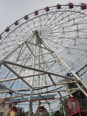 ferris wheel in the park