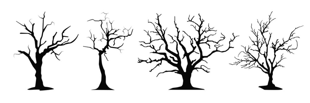 Halloween scary trees, vector illustration set. EPS10
