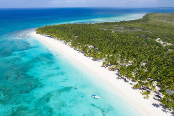 Fototapeta na wymiar Saona island with coconut palm trees and turquoise caribbean sea. Dominican Republic. Aerial view