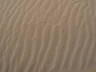 Beach sand background