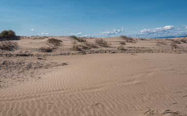 Lonely beach in the delta del ebro, tarragona, spain. The day is cloudy and windy.