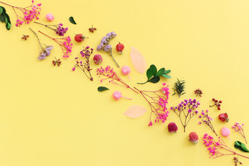 Top view image of pink, purple and green flowers composition over pastel yellow background .Flat lay