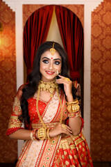 Portrait of very beautiful young Indian lady in luxurious costume with makeup and heavy jewellery...