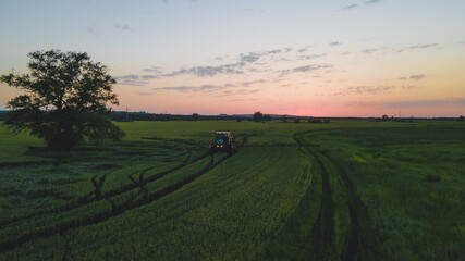 Obraz premium sunset in the countryside