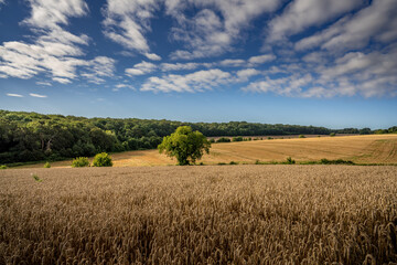 Paysage campagne 1070