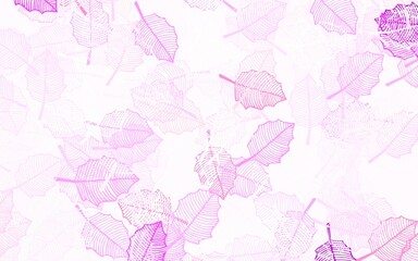 Light Purple, Pink vector natural backdrop with leaves.