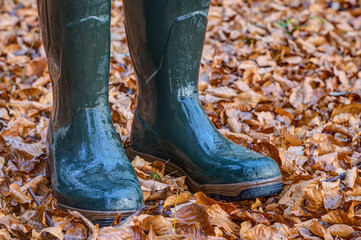 Wet, green rubber boots stand in the colorful autumn leaves. For hikers, hunters and nature lovers...